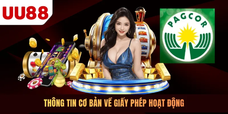 Thông tin cơ bản về giấy phép hoạt động